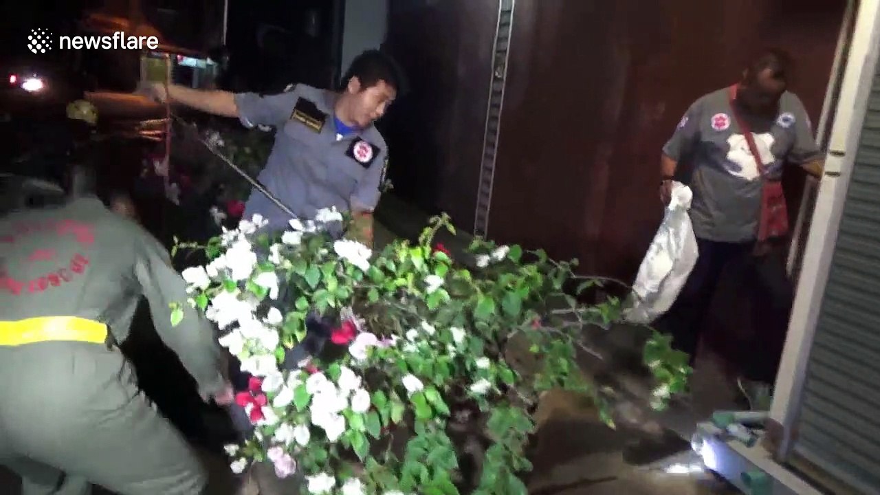 Snake caught in family's drain pipe