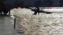Aydın -Menderes Nehri Taştı, Acanını Arabasının Üzerine Çıkarak Zor Kurtardı