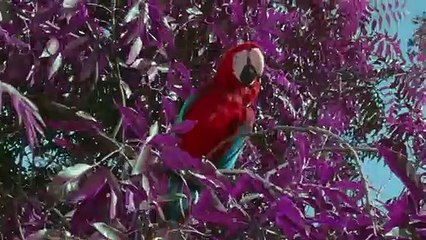 권선출장안마 {Ø7Øx7575xØØ77}【카톡VVV75】권선출장샵'예약'권선출장마사지 권선여대생출장 권선여고생출장 권선콜걸샵