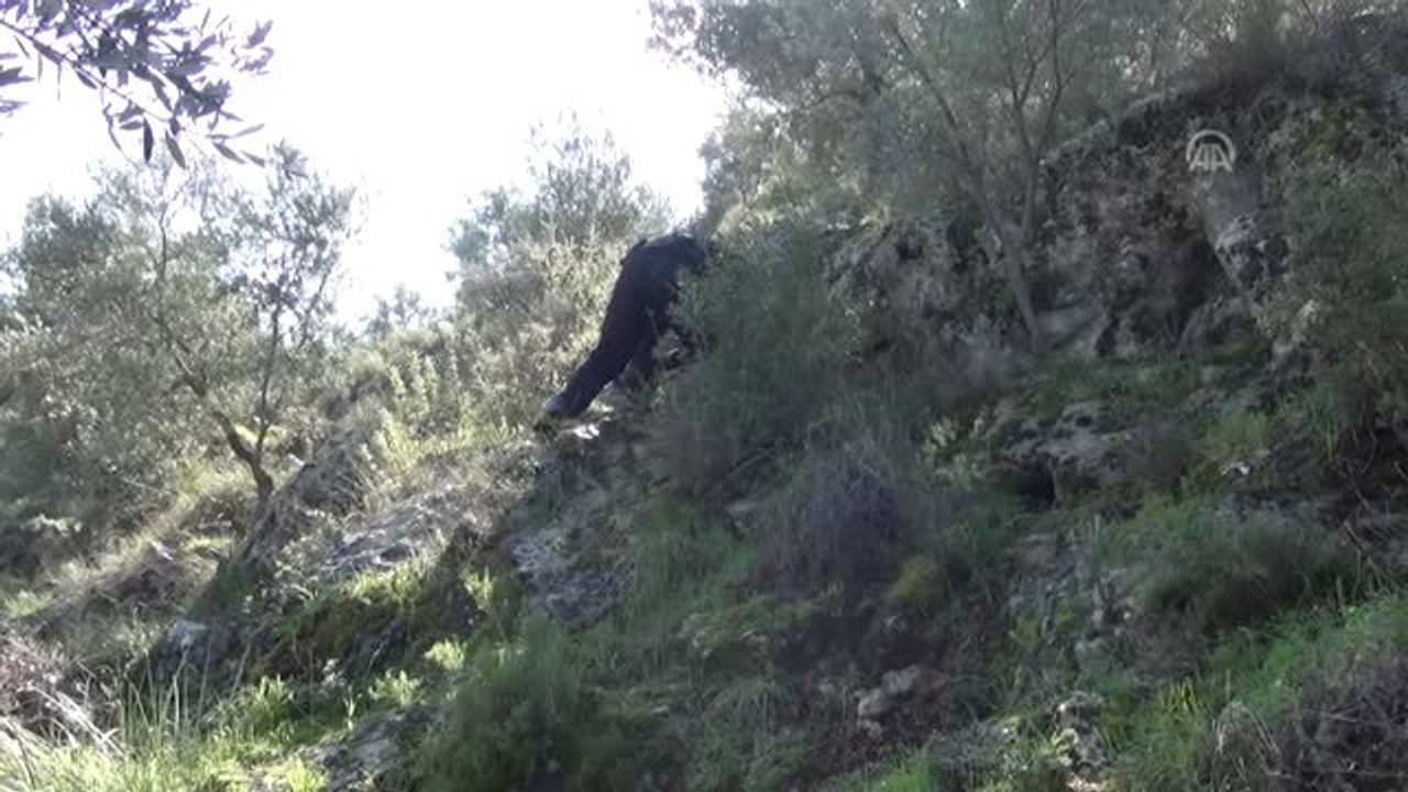 Muğla'da Darp ve Cinsel Saldırı İddiası