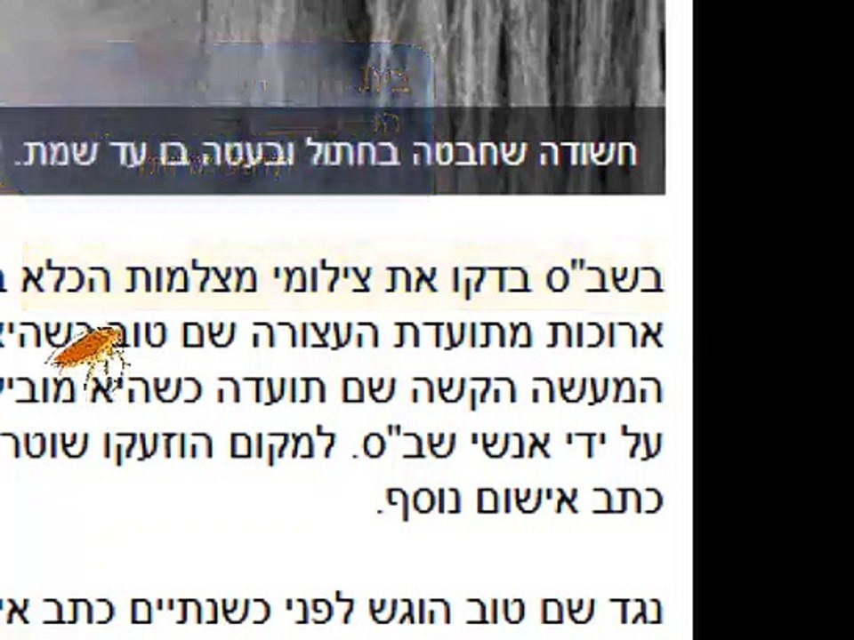הסתה לרצח ברשת עקב הדלפות בית סוהר נווה תרצה נגד עצירה תחת מרותם