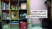 The pink rooms where cops keep children accused of crimes