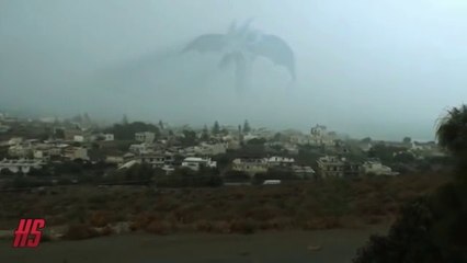 MYSTERIOUS SEA MONSTERS - ANIMAL VIDEO 2019