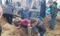 Yüksekova’da ahır çöktü: 4 inek telef oldu