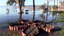 Aşırı yağışlar Köyceğiz Gölü'nü taşırdı - MUĞLA