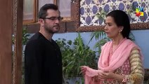 Ranjha Ranjha Kardi Epi 14 HUM TV Drama 2 February 2019