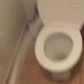 Vous allez comprendre pourquoi la cuvette des toilettes est crade...