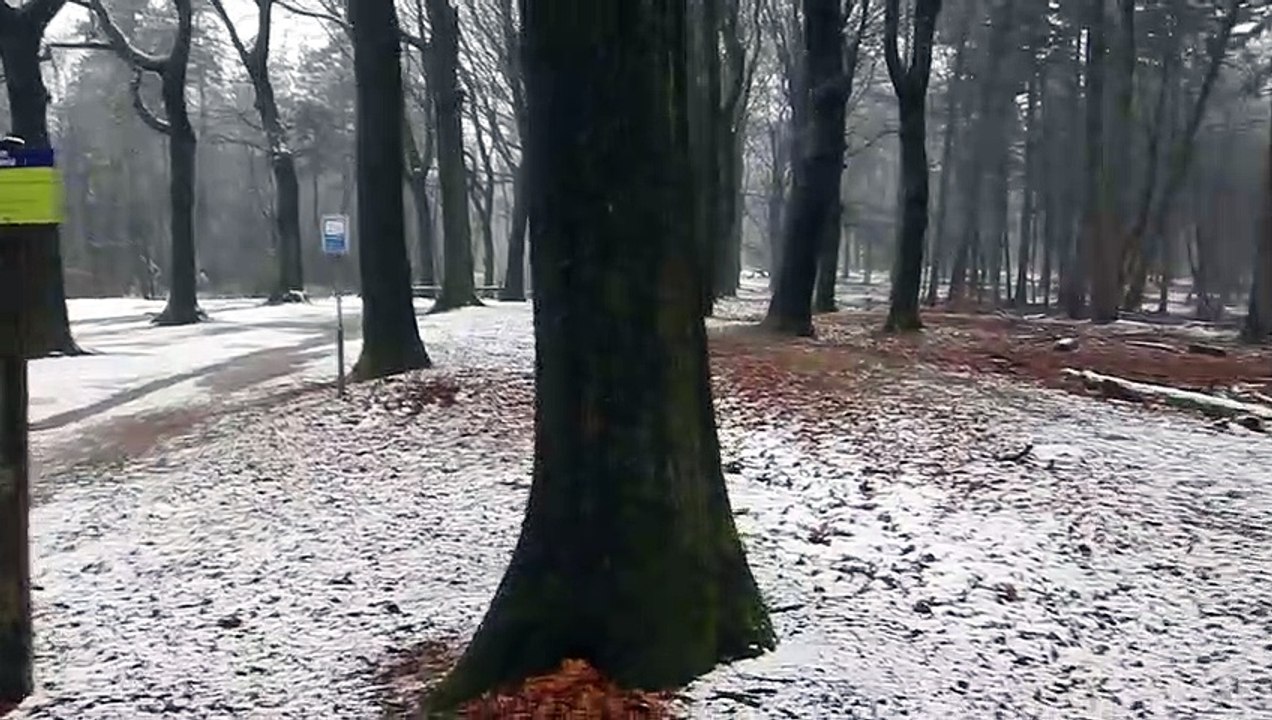 20190202 More Snow