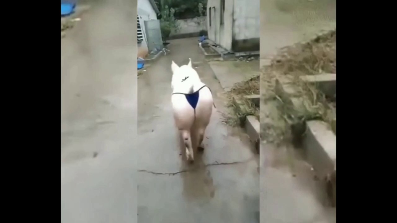 A mourir de rire