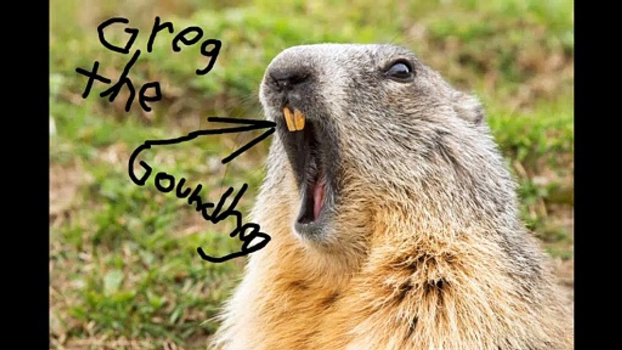 Happy Groundhog Day