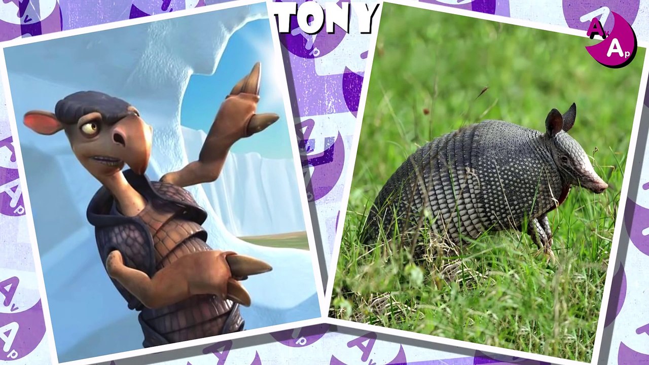 L'ÂGE DE GLACE DANS LA VIE RÉELLE 2018 (L'ÂGE DE GLACE FILM D'ANIMATION)