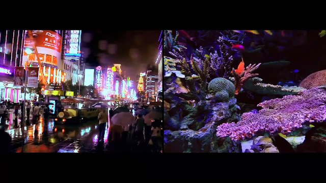 Мир людей и мир животных.