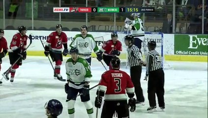 ECHL Adirondack Thunder 3 at Maine Mariners 5