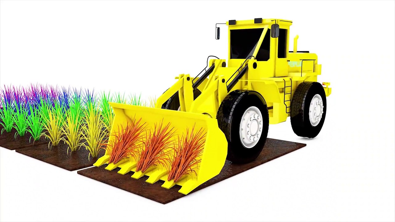 Cows Eat Grass To Produce Milk Video cartn For Kids