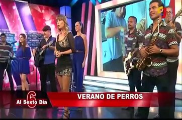 Verano de perros: estos son los mejores lugares para divertir a su engreído