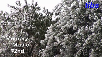 (taoyakaibs)メモリーミュージック第７２回芥川龍之介の小説「鼻」朗読後編The 72nd Ryunosuke Akutagawa's Novel "Nose" Reading Second Part