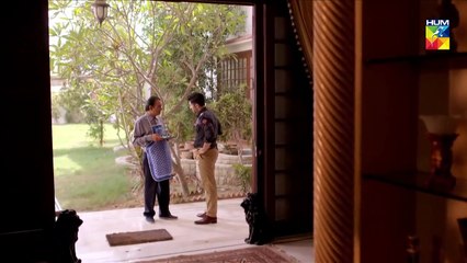 Baandi Episode 20 HUM TV Drama 1 February 2019