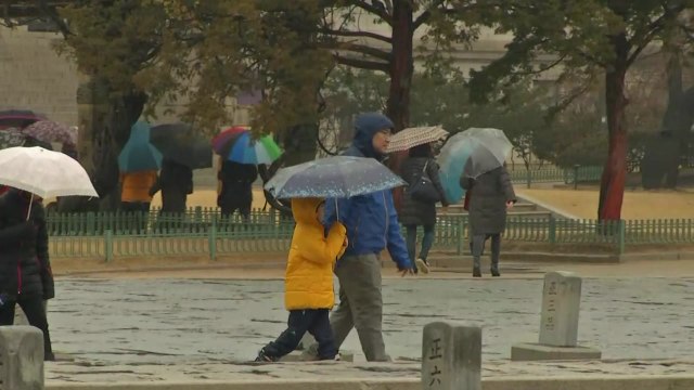 [날씨] 귀성길 종일 비·눈...미끄럼 사고 유의 / YTN