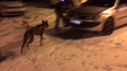 Van Zeyna ve Lisa ile Yapılan Aramalarda 89 Kilo Uyuşturucu Ele Geçirildi