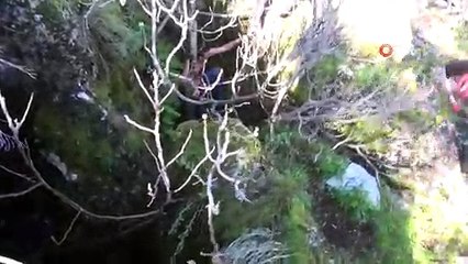 Bıçak Zoruyla Tacize Kalkıştı, Ormanlık Alanda Böyle Yakalandı!