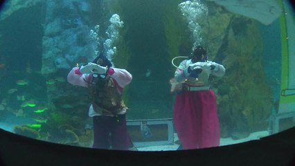 "황금 돼지 복 받으세요"...도심 곳곳 설 행사 / YTN