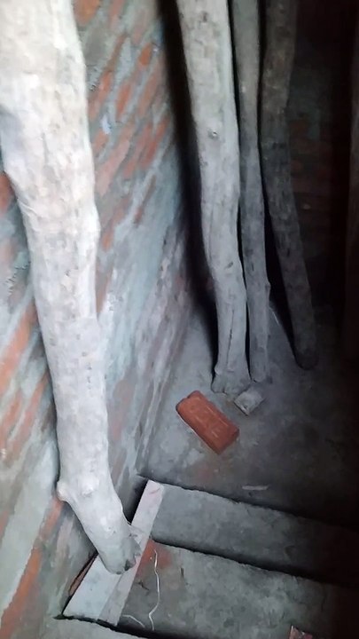 Work in progress in the cellar