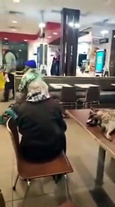 Ce SDF amène un animal mort au McDonalds !