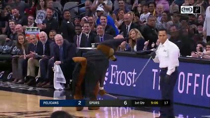 Déguisée en Batman cette mascotte attrape une chauve souris pendant un match de NBA