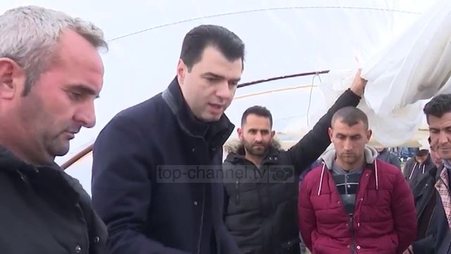 Basha: Rama nuk ka shans që t’i djegë vitin studentëve! - Top Channel Albania - News - Lajme