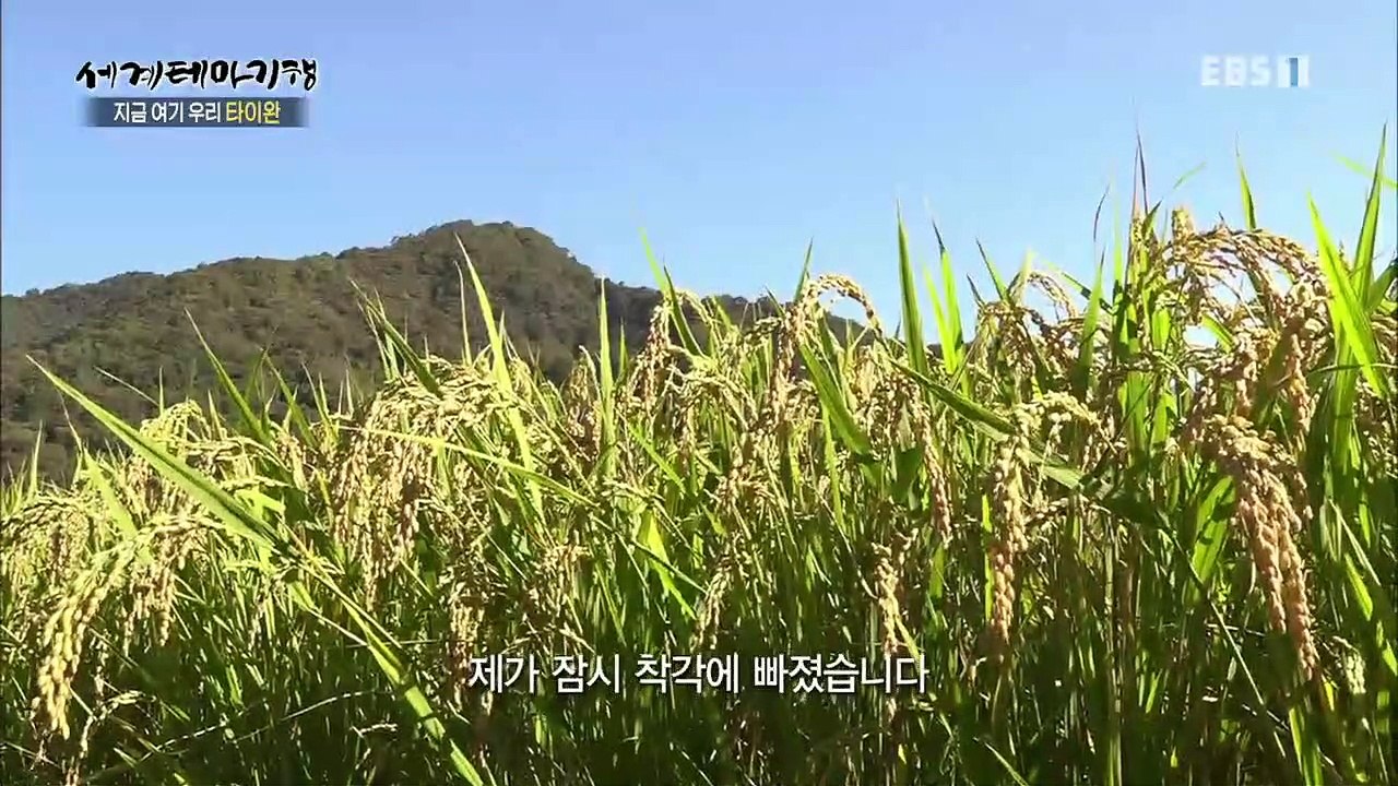 세계테마기행 - 지금 여기 우리, 타이완 2부- 그래도 삶은 계속된다, 우서 진먼_#001