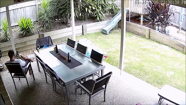 Son chien chasse un serpent mortel sur la terrasse et sauve son maitre