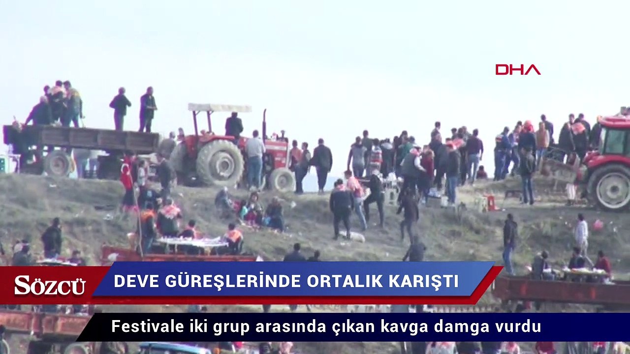 Deve güreşlerinde ortalık karıştı!