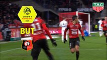 But Mehdi ZEFFANE (82ème) / Stade Rennais FC - Amiens SC - (1-0) - (SRFC-ASC) / 2018-19