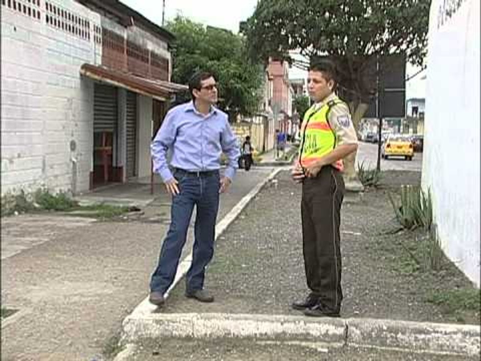 PASO ELEVADO COLEGIO