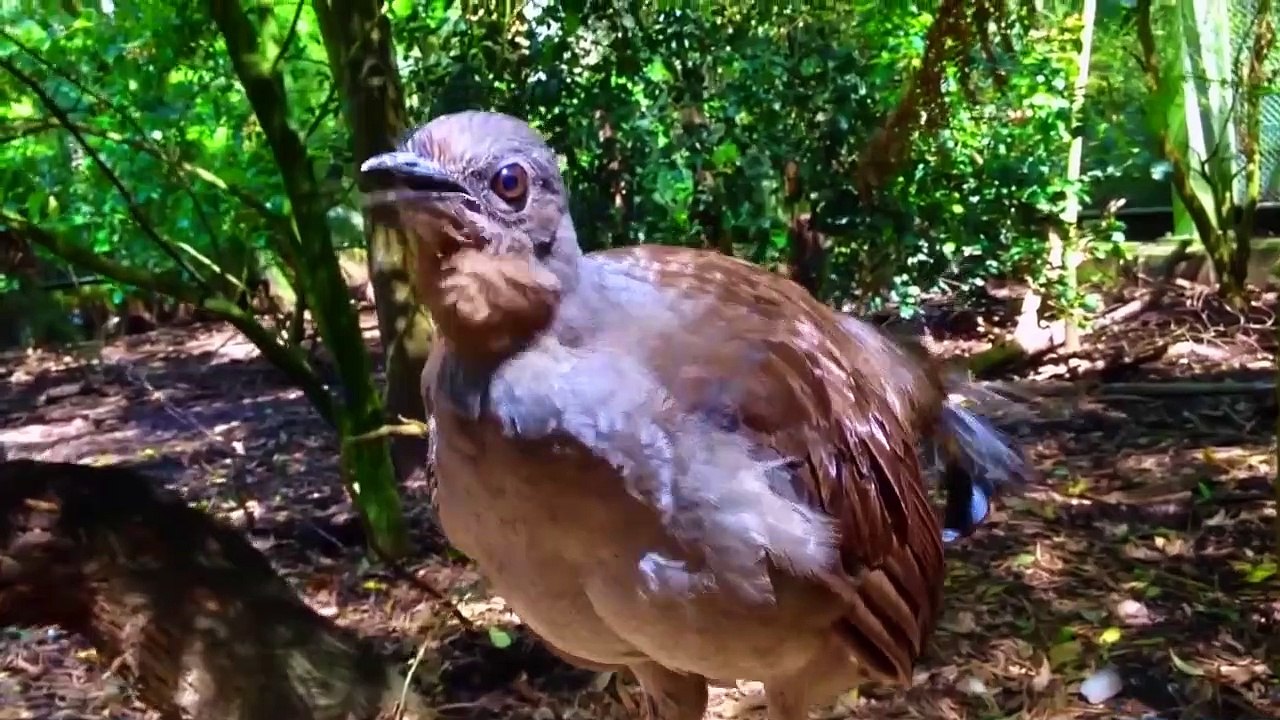 驚異的な能力を持つ10の動物たち