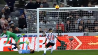 Newcastle vs Man City 2-1 Extended Highlights & Goals 2019