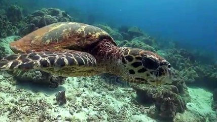 마이다스카지노 바로가기 ▶  yong79。com 개츠비카지노 ぼか일본