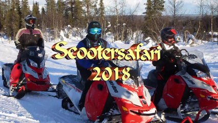 SKI-DOO 2018 HD720, Scootersafari Skogshotell, Lappland, best fun ever