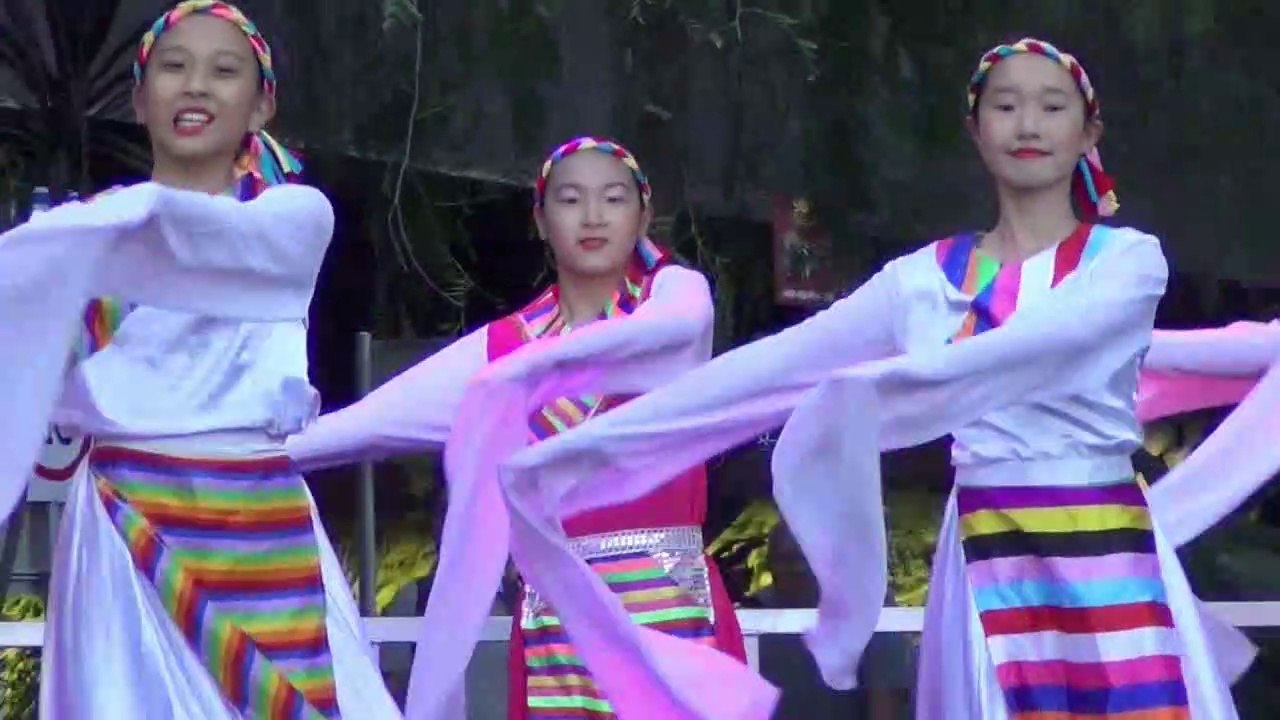 Sydney Lunar Spectacular Show 2-3 ,  @The Rocks & Chinese Garden 2- ,  Sydney Lunar Chinese New Year 3-23  , 2-3 Feb 2019.