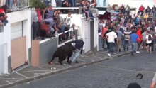 TOURADA COM MARRADA