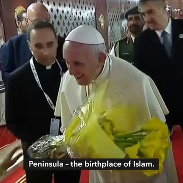 Pope Francis lands in UAE for historic visit