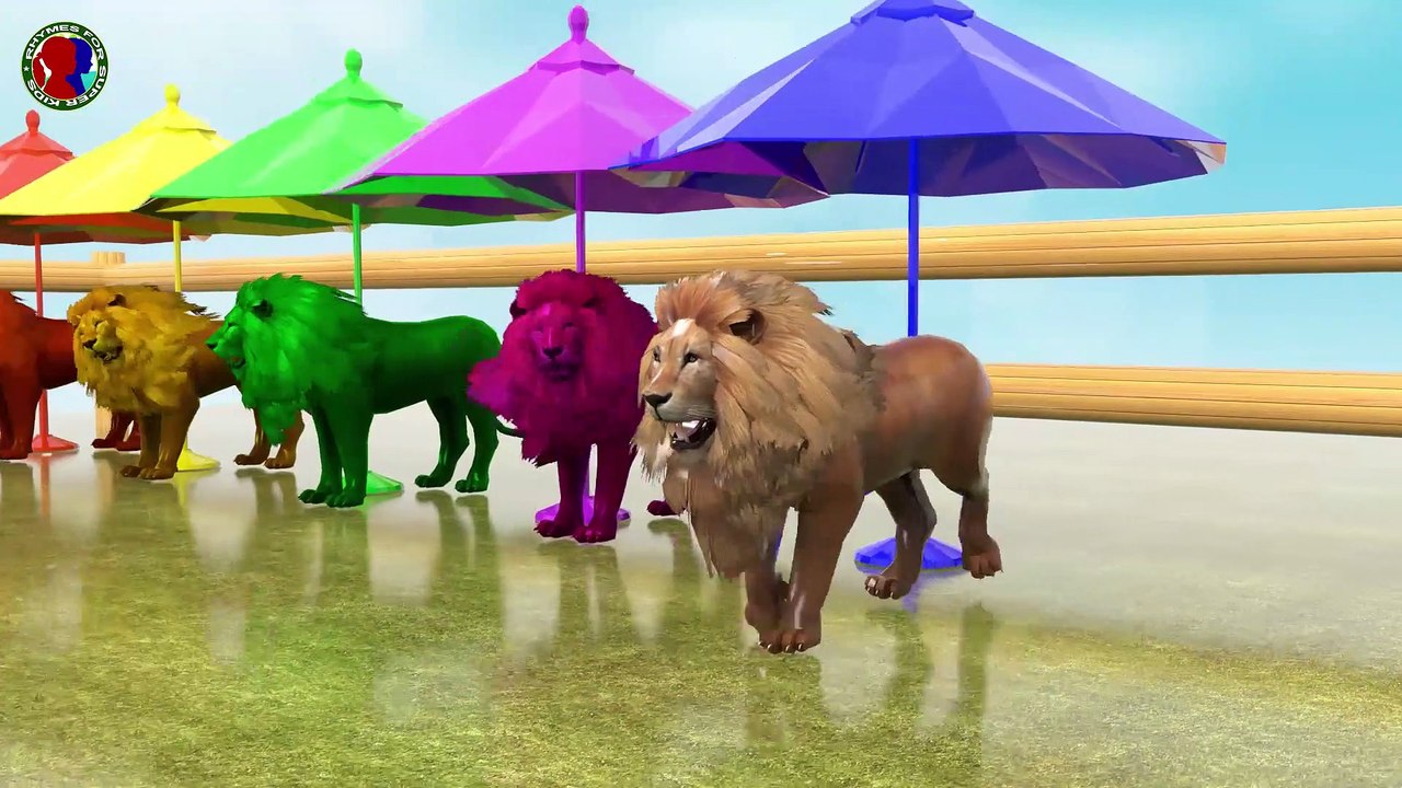 Lion Colors With Balls For Childrens || Learning Colors pink green yellow orange blue