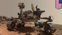 NASA Curiosity rover shares new Mars selfie