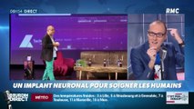 La chronique d'Anthony Morel : Un implant neuronal pour soigner les humains - 04/02