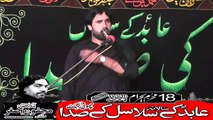 Zakir Kaleem Abbas Mandi Bhawal Deen 18th Muhram 1440(2018) Choti Behak Hafizabad