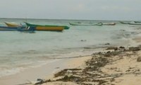 Air Laut Mendekati Daratan Pantai Wisata di Wakatobi akibat Abrasi