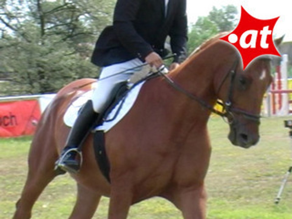 Matthias Magedler, Springreiten, Burgenland (2007-013)