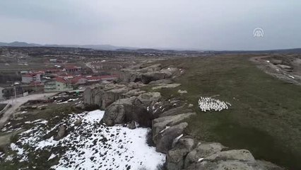 Frigya'nın Yeni Lezzeti: "Siyez Buğdaylı Kaz" Yemeği - Afyonkarahisar