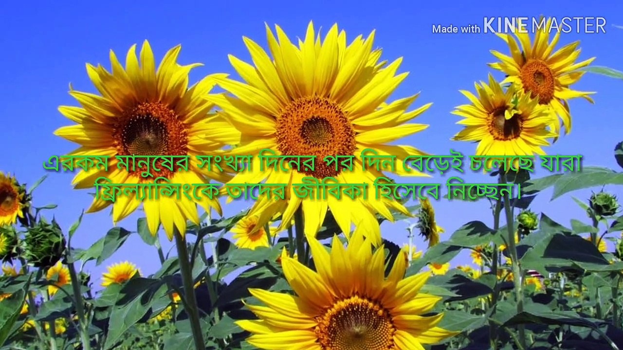 সফল ফ্রিল্যান্সার হওয়ার উপায়