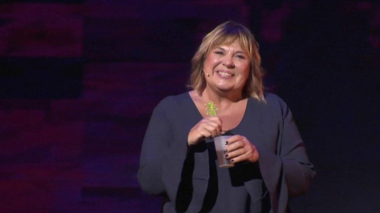 Spectacle - « Vive demain » / « Localement agité »